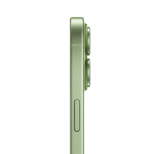 Apple iPhone 17 256 Гб MG6N4 Sage / Серовато-зеленый (nano-Sim+E-Sim) фото 4