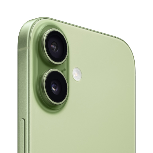 Apple iPhone 17 256 Гб MG6N4 Sage / Серовато-зеленый (nano-Sim+E-Sim) фото 3