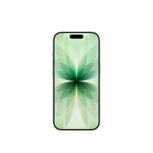 Apple iPhone 17 256 Гб MG6N4 Sage / Серовато-зеленый (nano-Sim+E-Sim) фото 2
